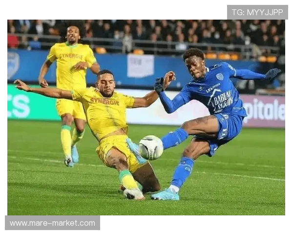 南特近期比赛亮点：攻防表现稳健，主场竞争力持续提升