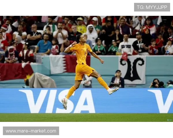 加克波比赛阅读