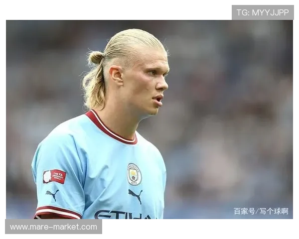 哈兰德传统九号位